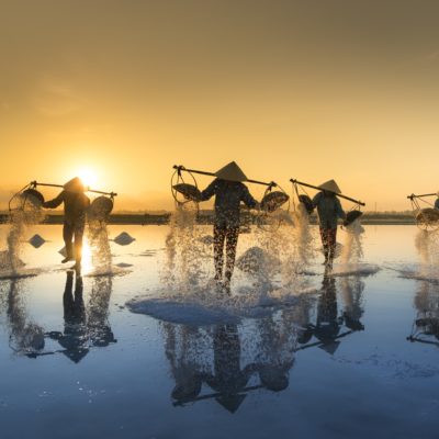 Vietnamesische Bauern bei der Arbeit