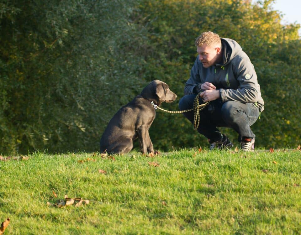 Hundebesitzer