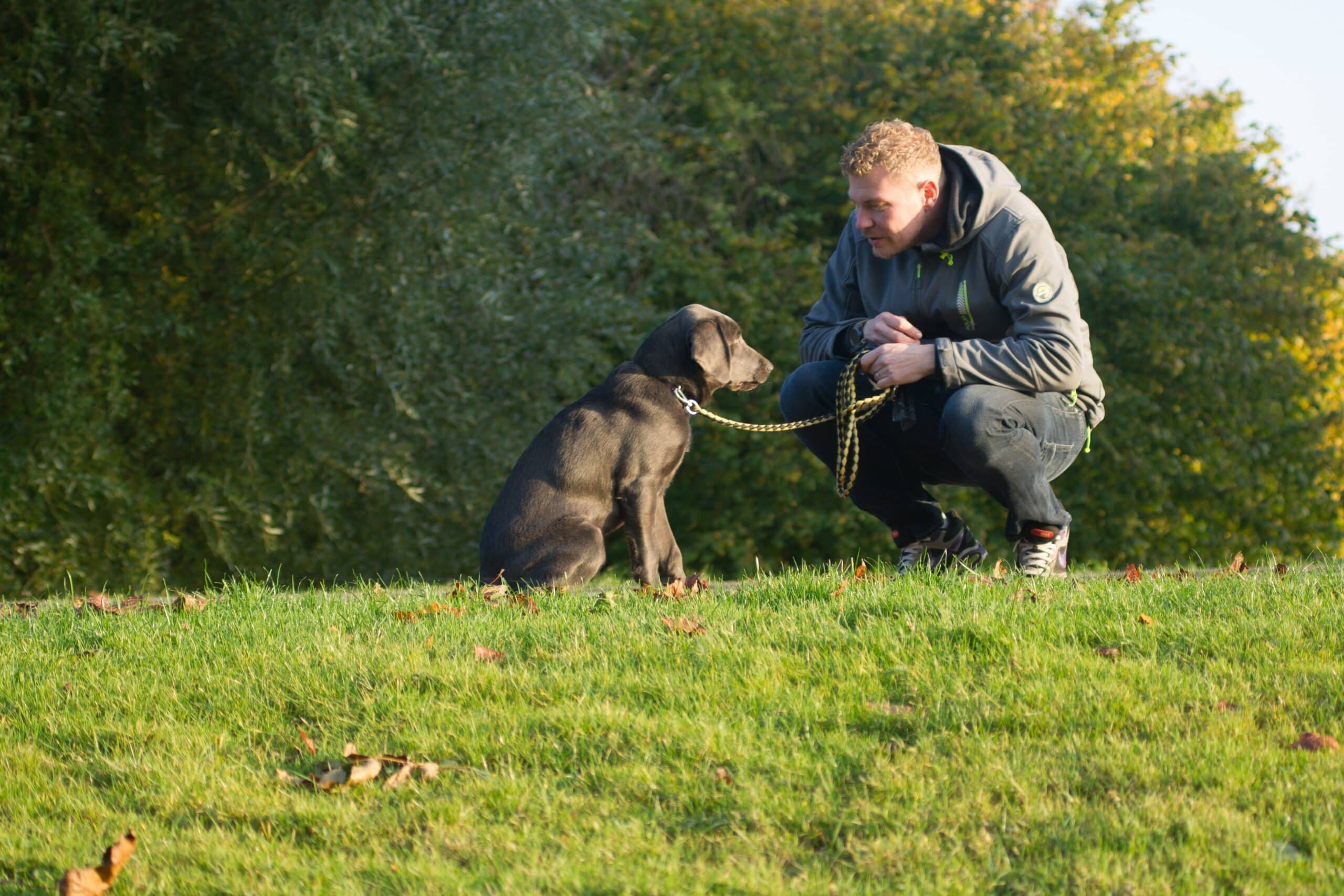 Hundebesitzer