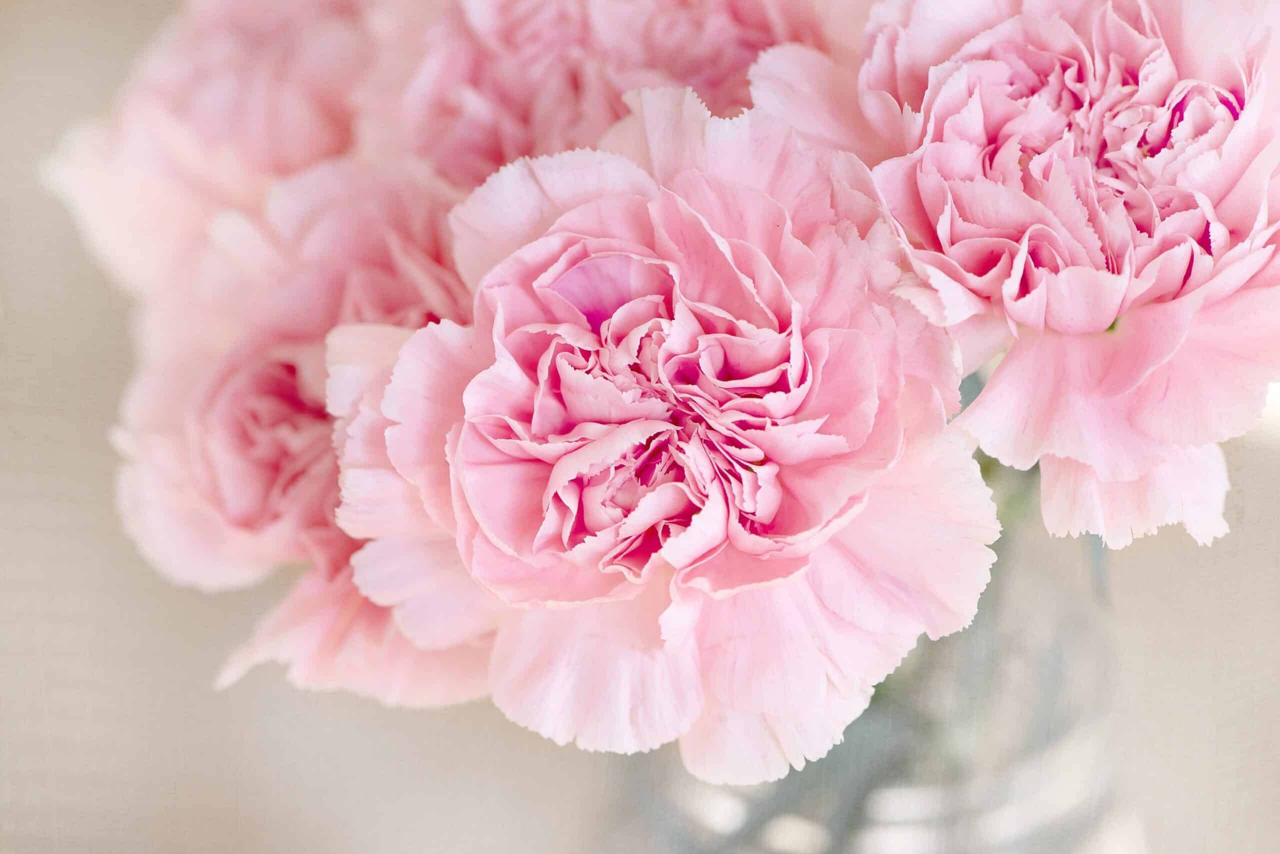Blumen
